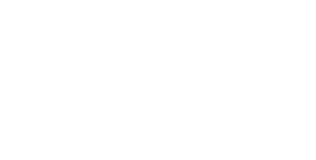 AI Safety Council